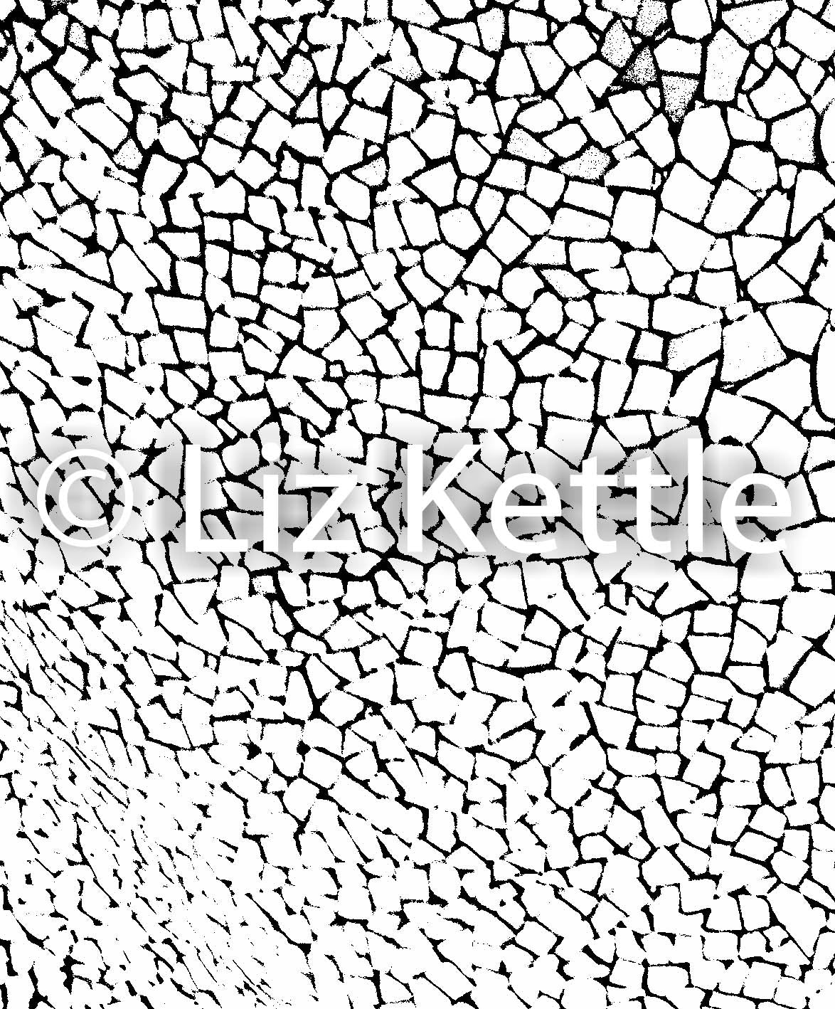 Texture Thermofax Screens